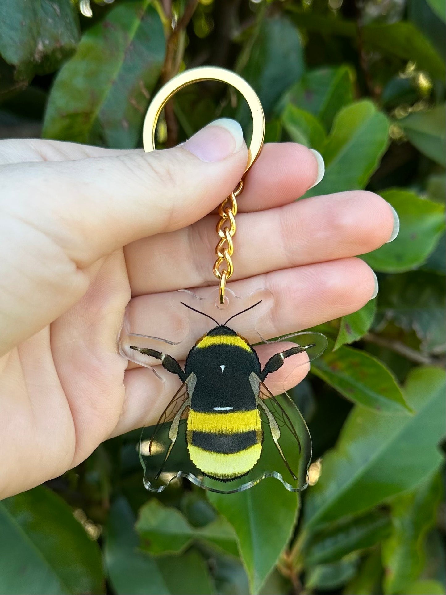 A bumble bee clear acrylic keychain keyring with gold hardware