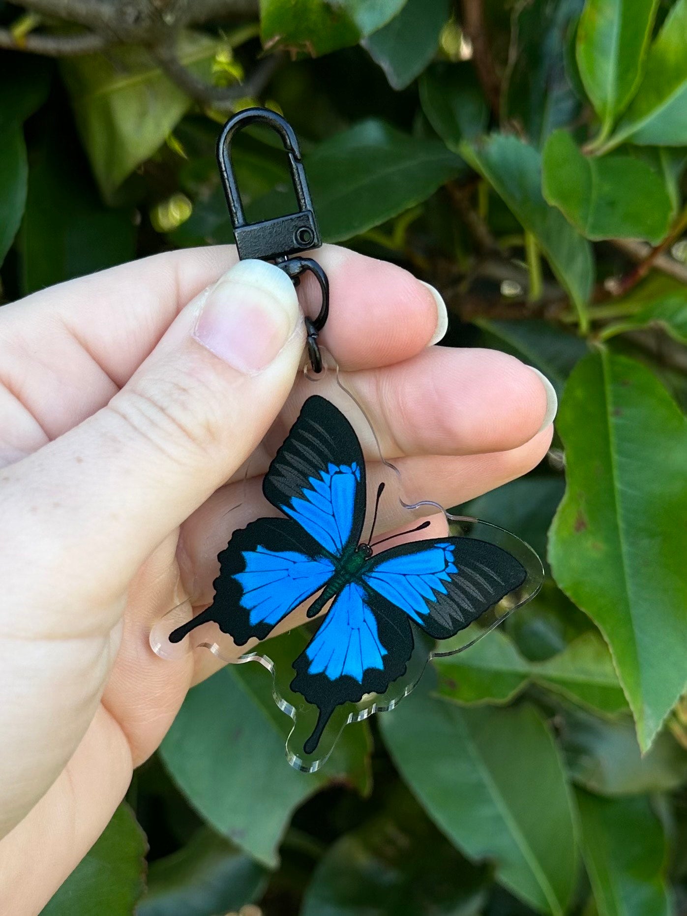 Ulysses butterfly clear acrylic keychain keyring with black clasp
