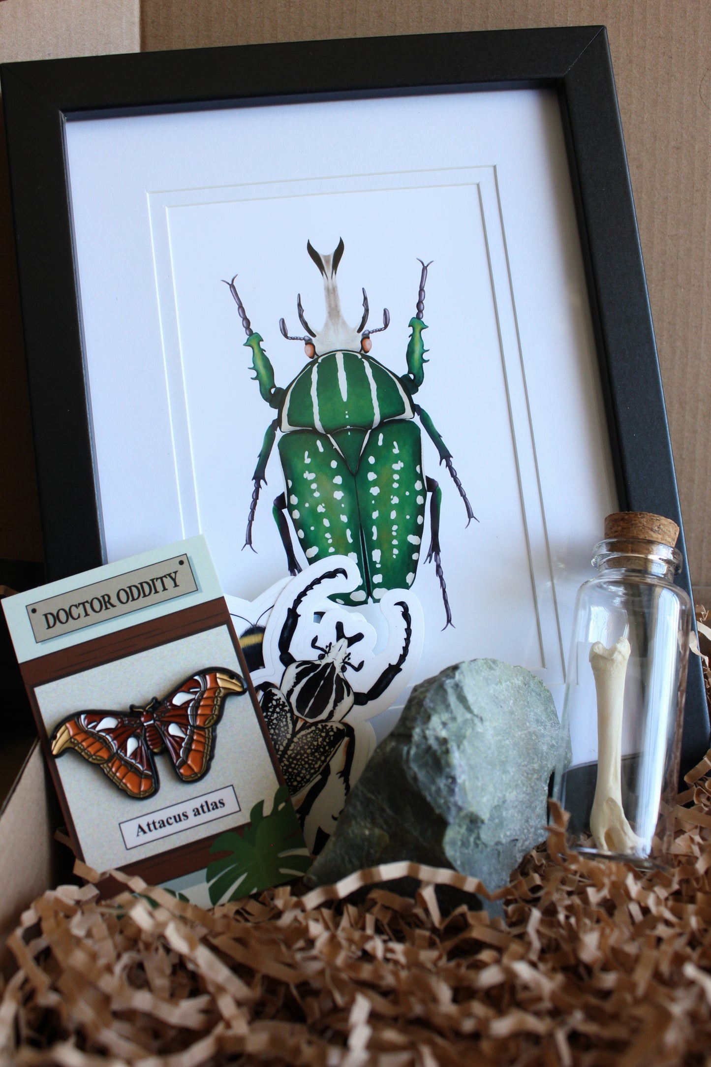 Mystery box containing framed African fruit beetle print, enamel pin, bones, crystals