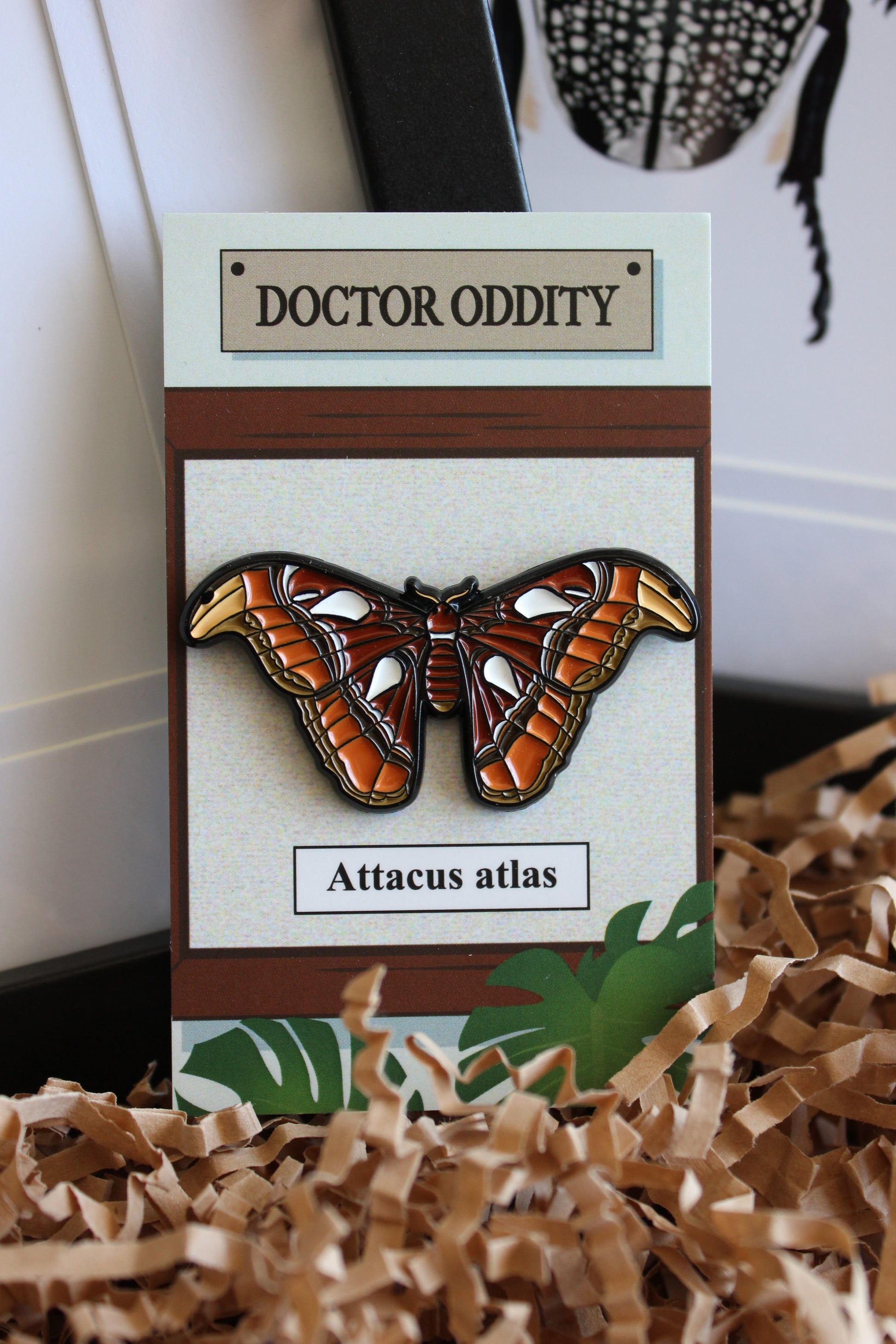 Atlas moth (Attacus atlas) enamel pin