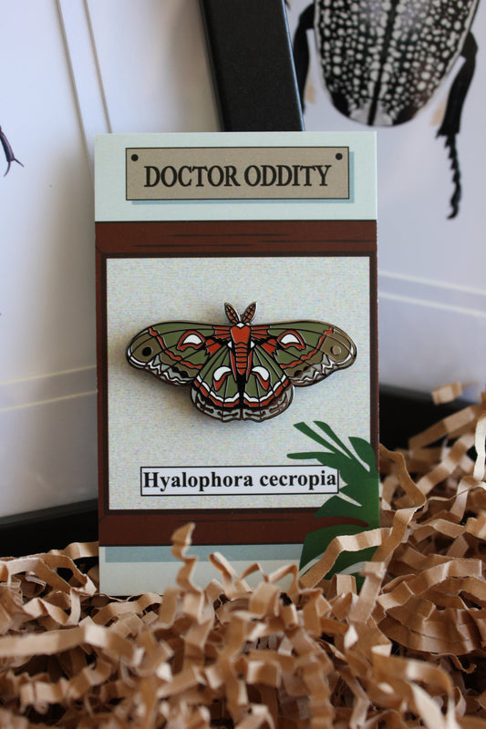 Cecropia moth (Hyalophora cecropia) enamel pin