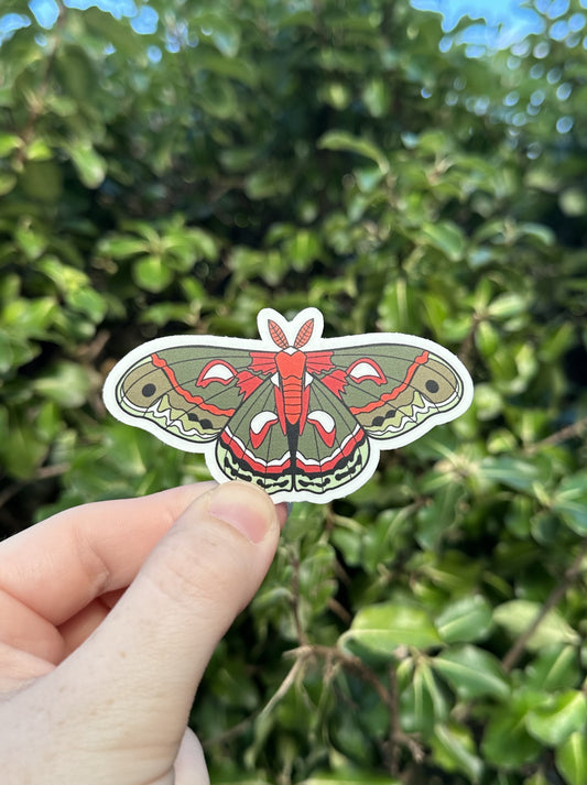 Cecropia Moth (Hyalophora cecropia) Sticker