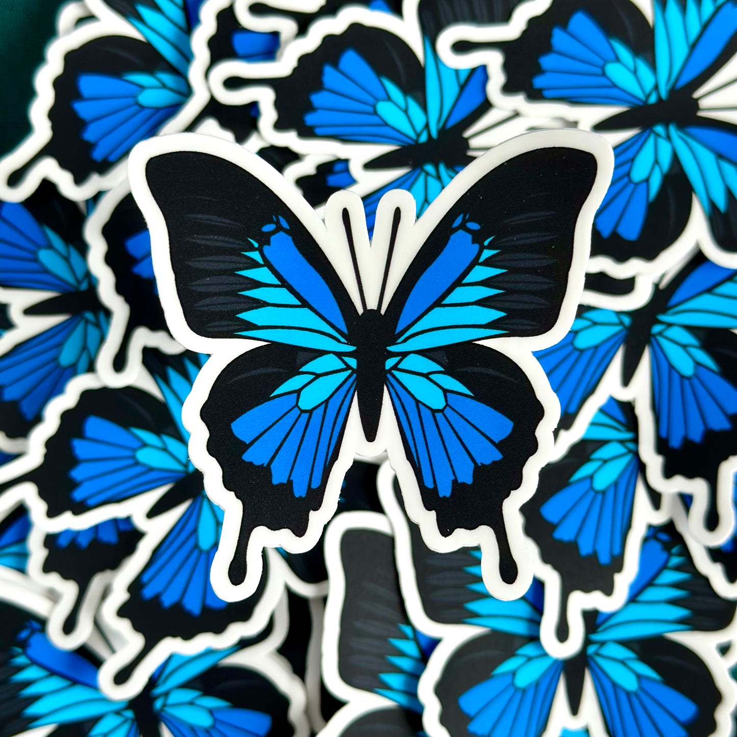 Ulysses Butterfly (Papilio ulysses) Sticker