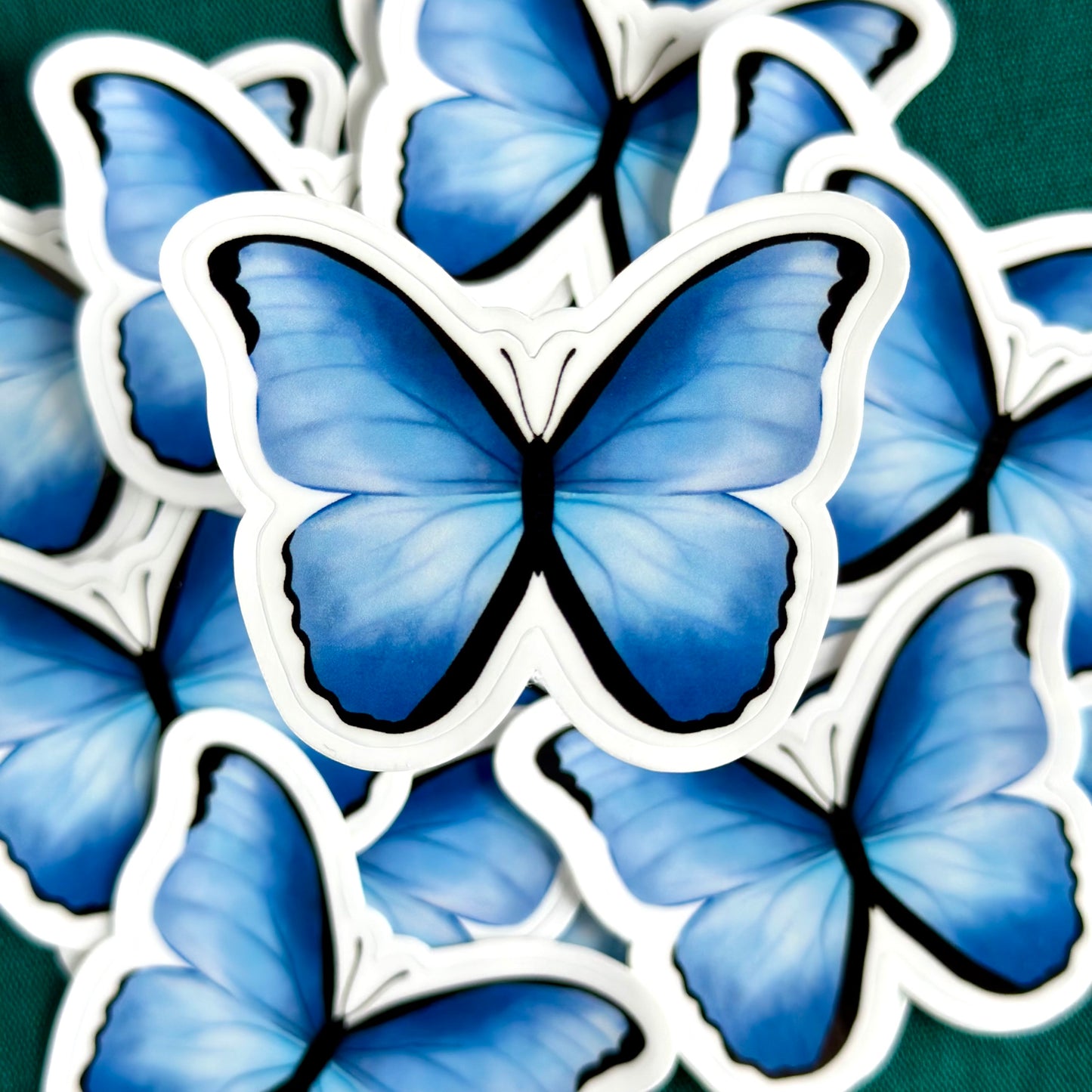 Blue morpho sticker