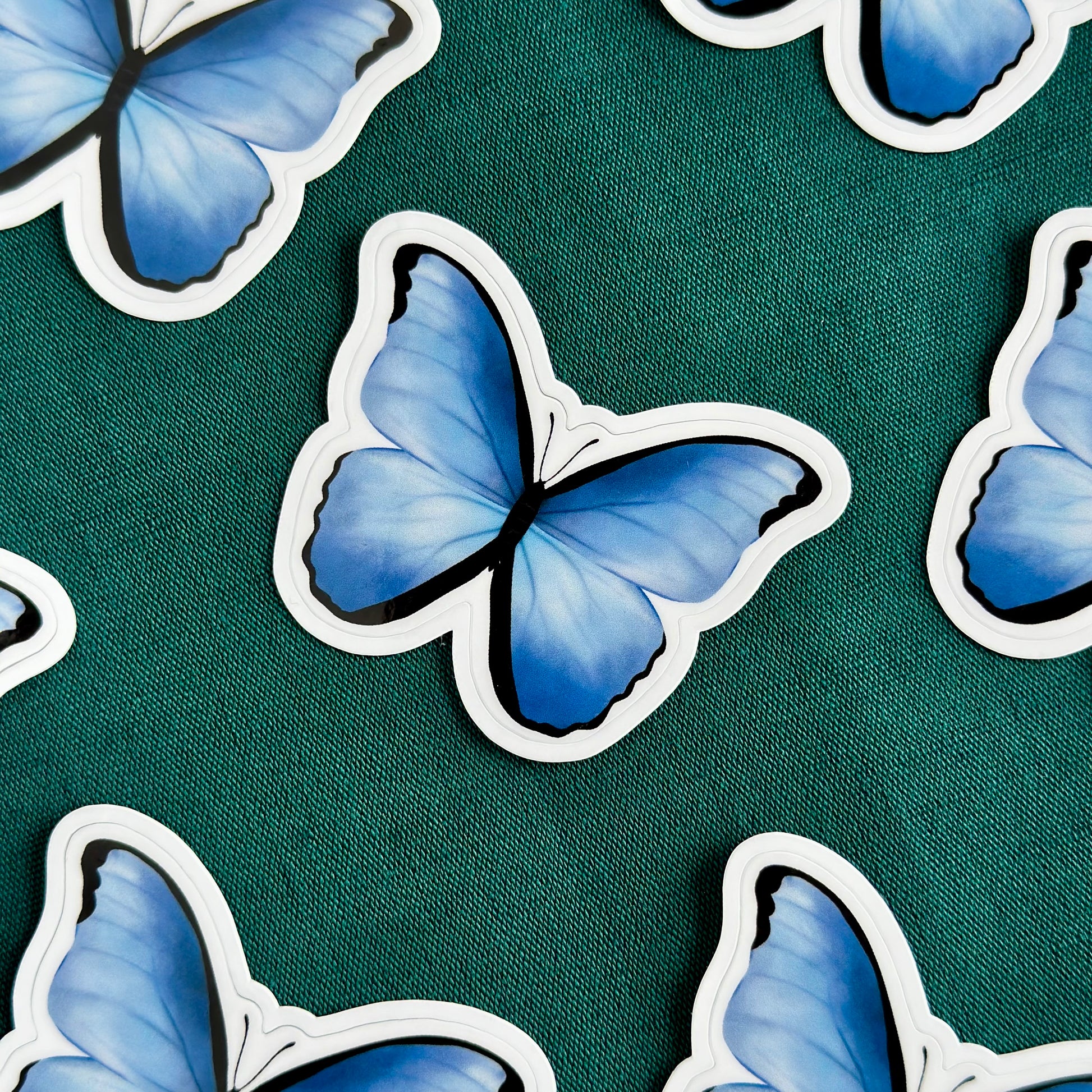 Blue morpho sticker