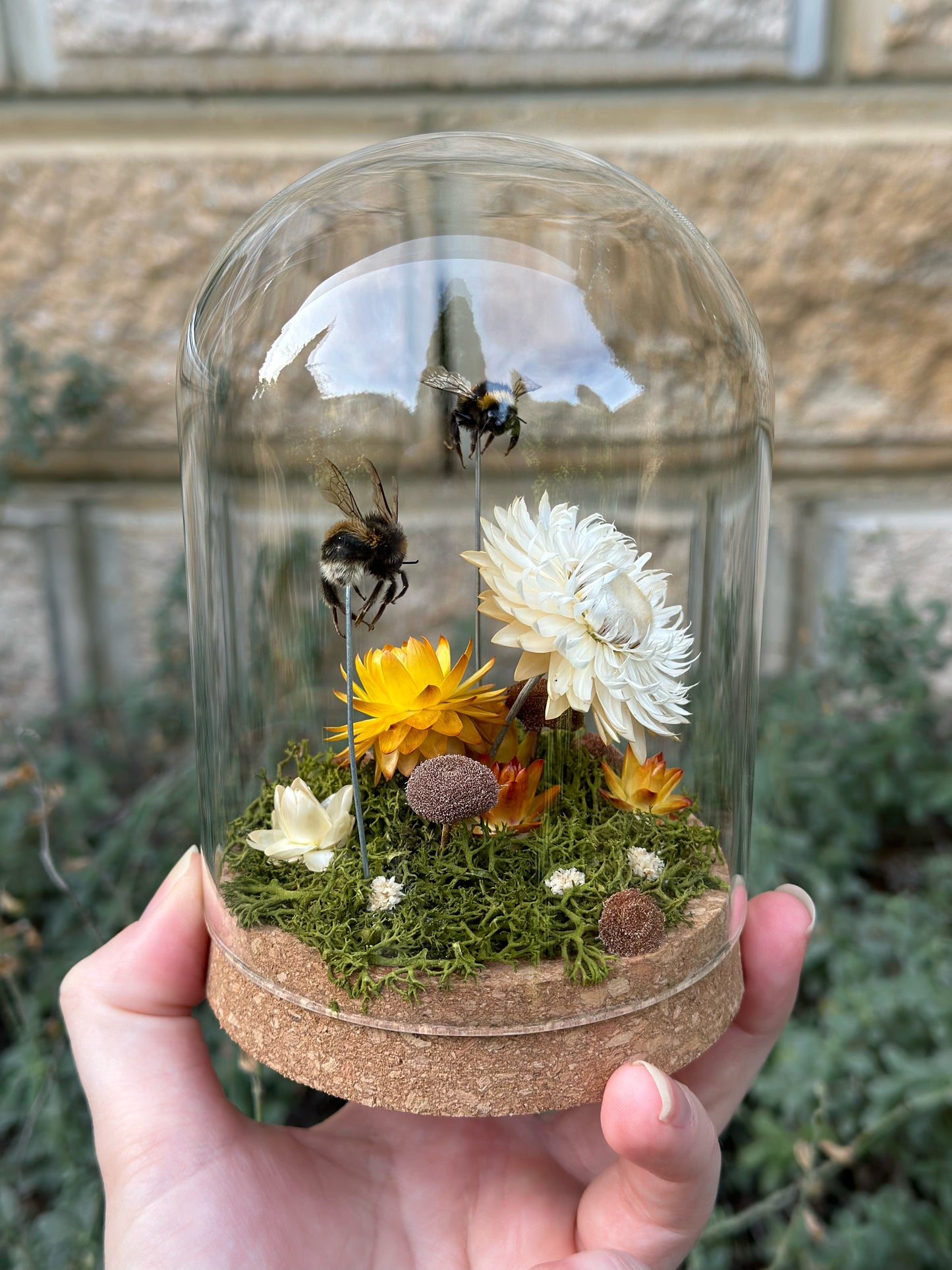 Bumble Bees with Dried Florals in a glass dome