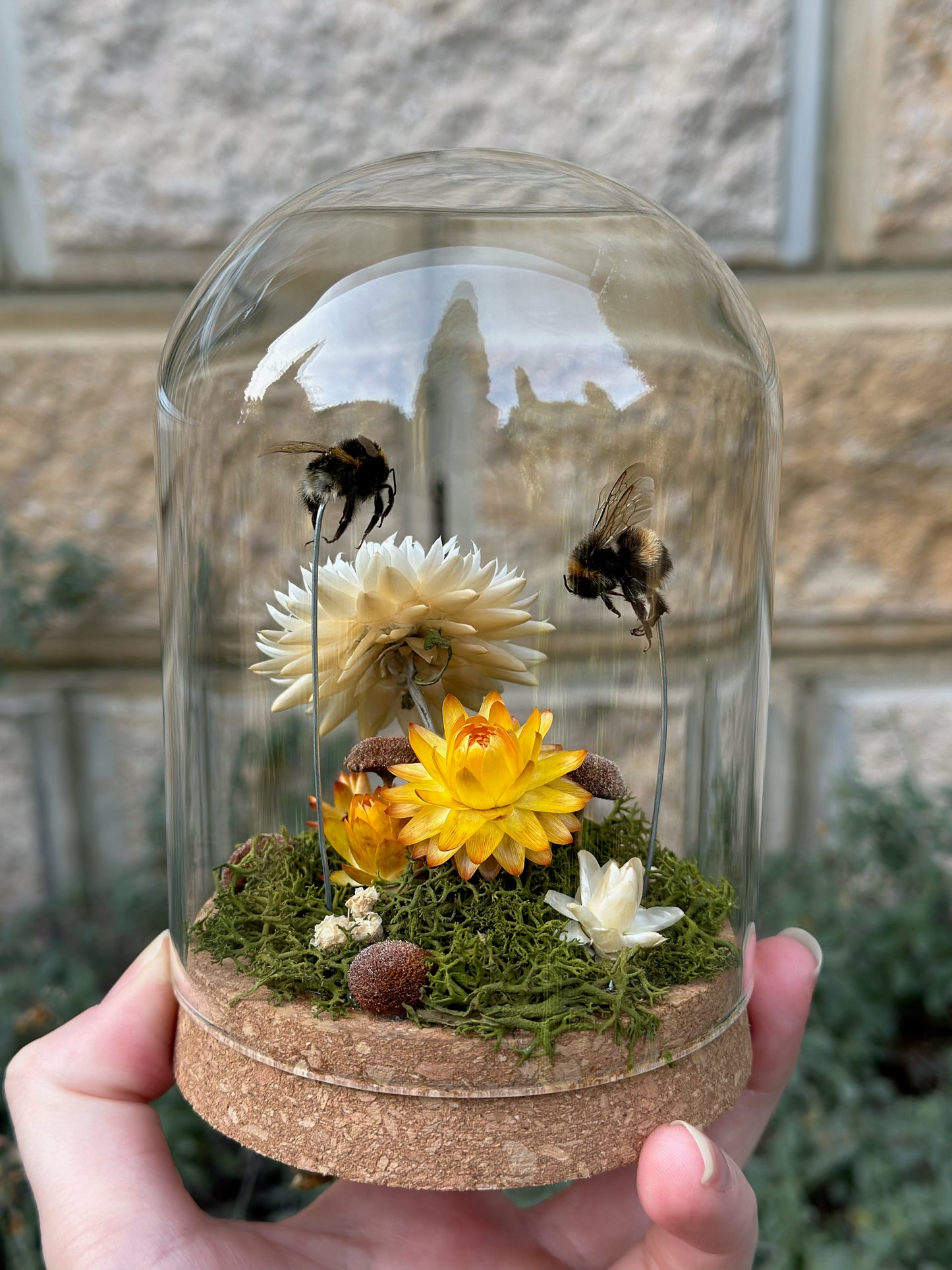 Bumble Bees with Dried Florals in a glass dome