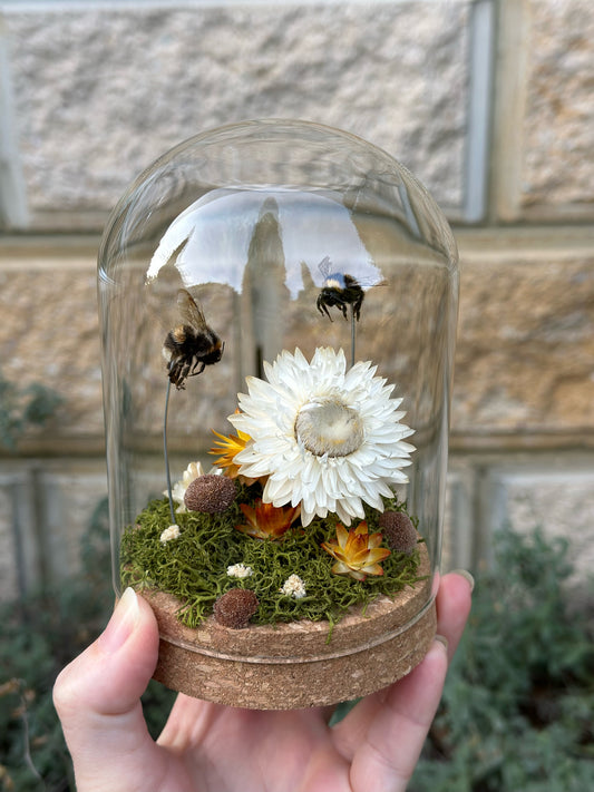 Bumble Bees with Dried Florals in a glass dome