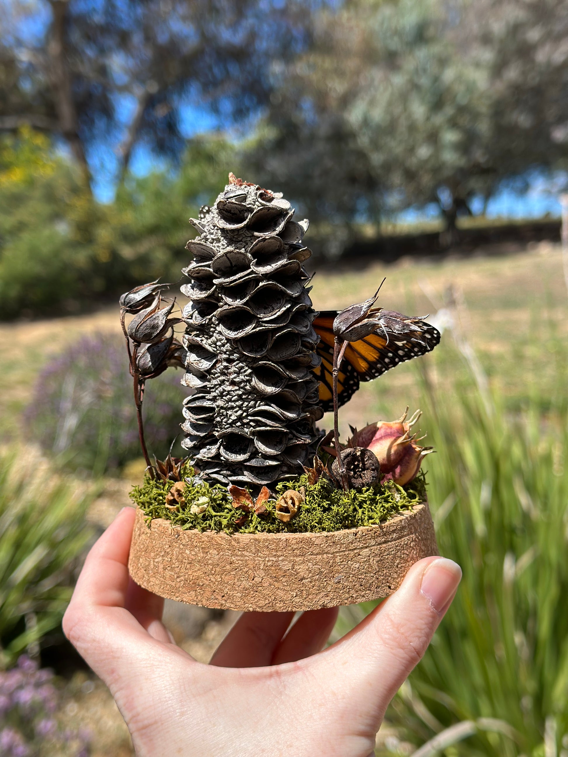 A Monarch Butterfly (Danaus plexippus) in a glass egg shaped dome terrarium with preserved florals