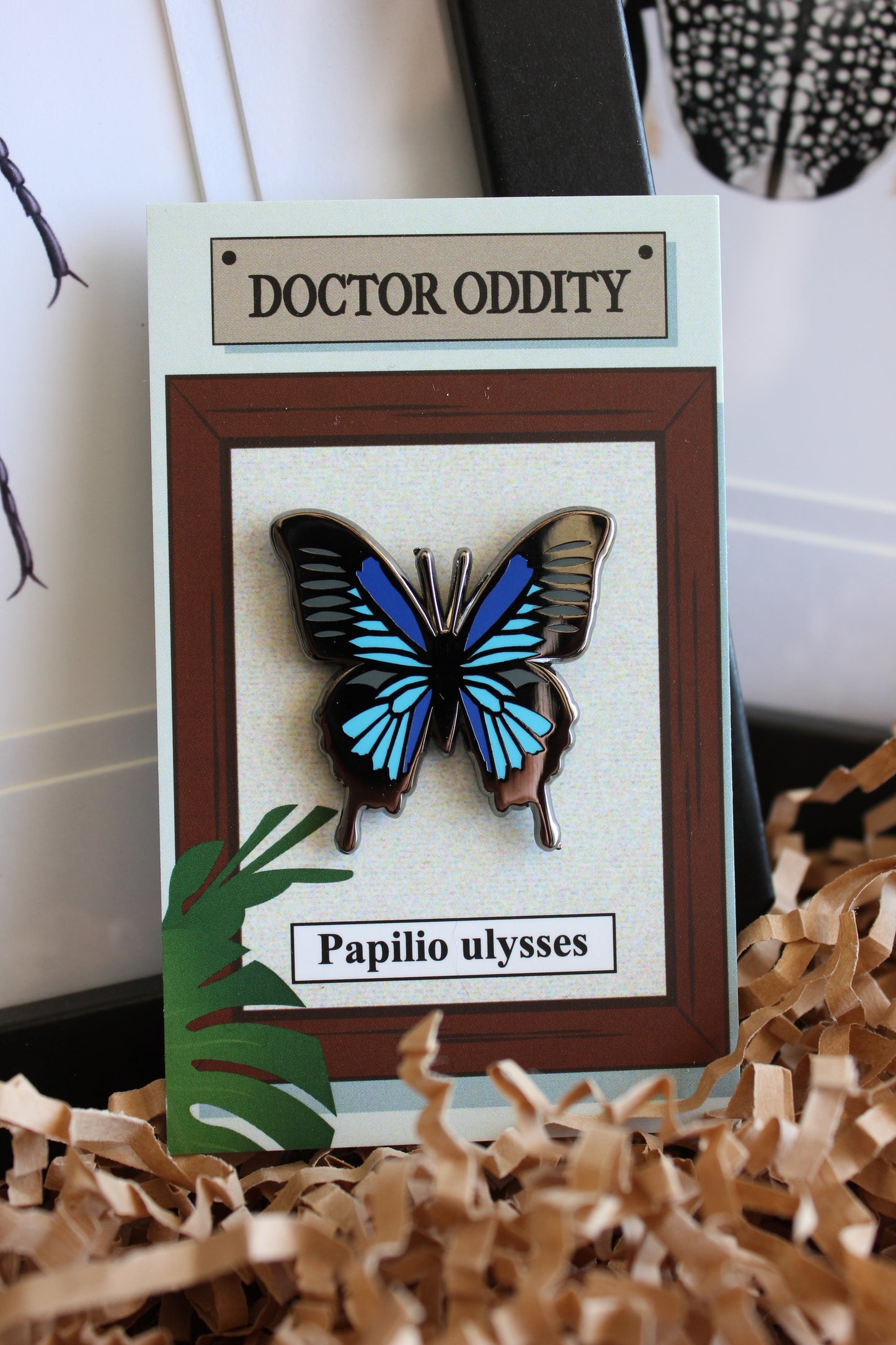 Ulysses butterfly (Papilio ulysses) enamel pin