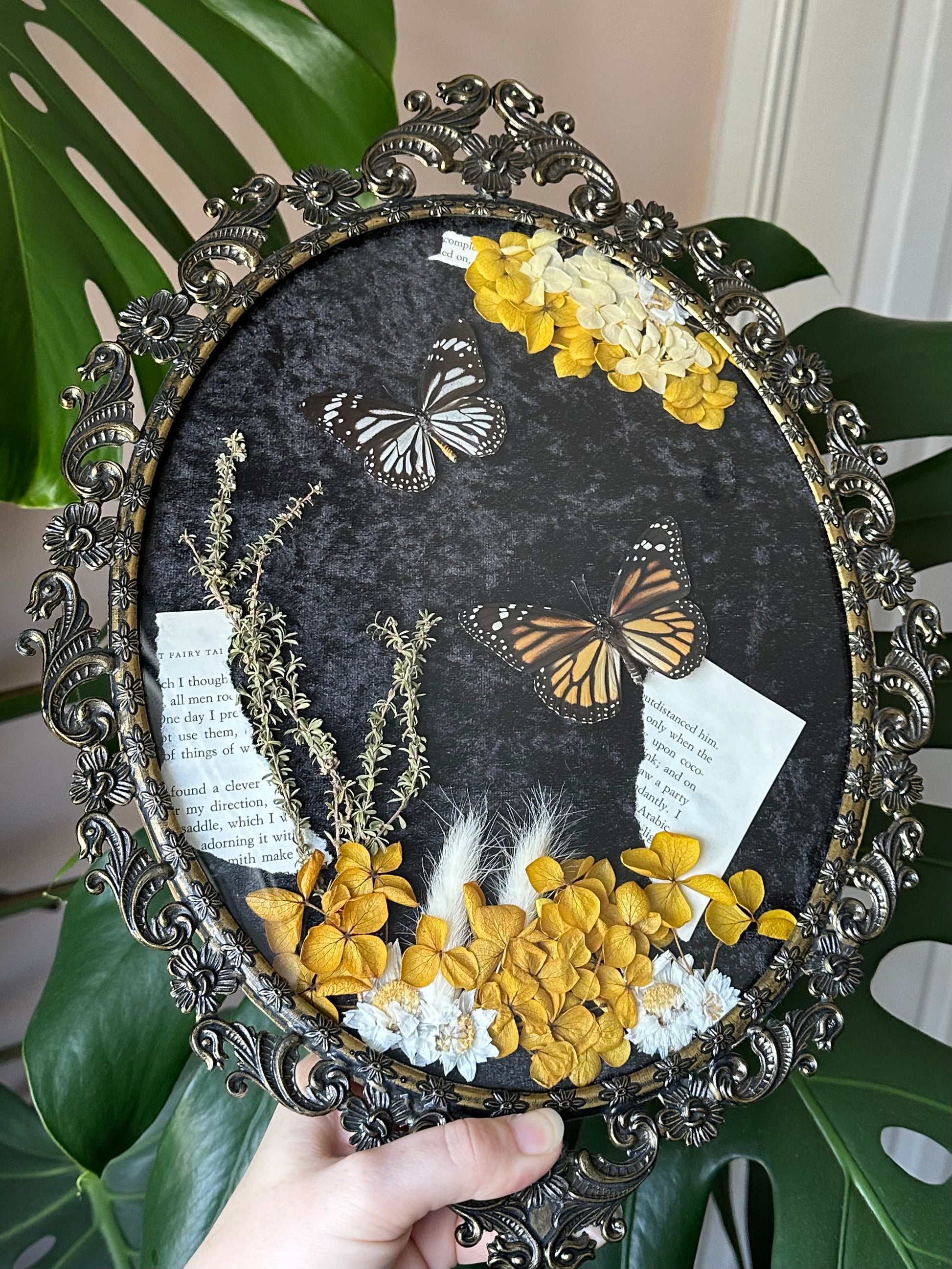 Monarch (Danaus plexippus) and White Tiger (Danaus melanippus) butterfly in a vintage italian frame with dried flowers