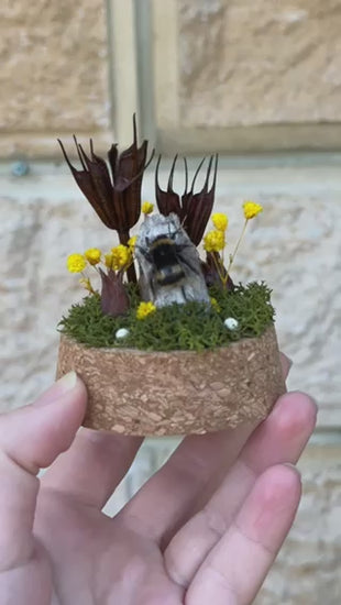 A bumble bee from Tasmania in a glass dome with preserved moss and flowers 